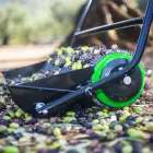 Apanhador de Azeitona OliveClean 80 CM 